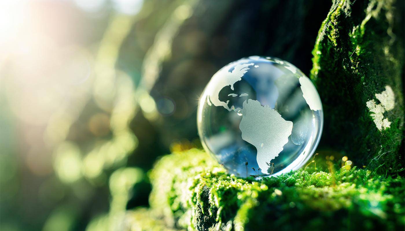 Circle of Life Circle of Life